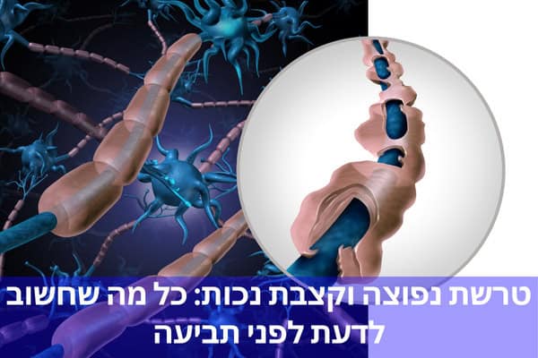 טרשת נפוצה וקצבת נכות: כל מה שחשוב לדעת לפני תביעה